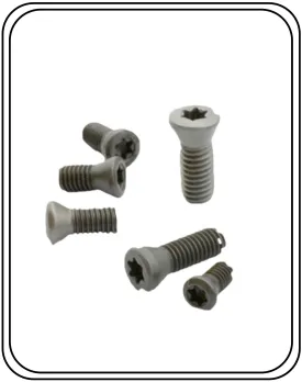 Torx Screw 4 MM T15  High Precision ( Pack Of 10 Pcs )